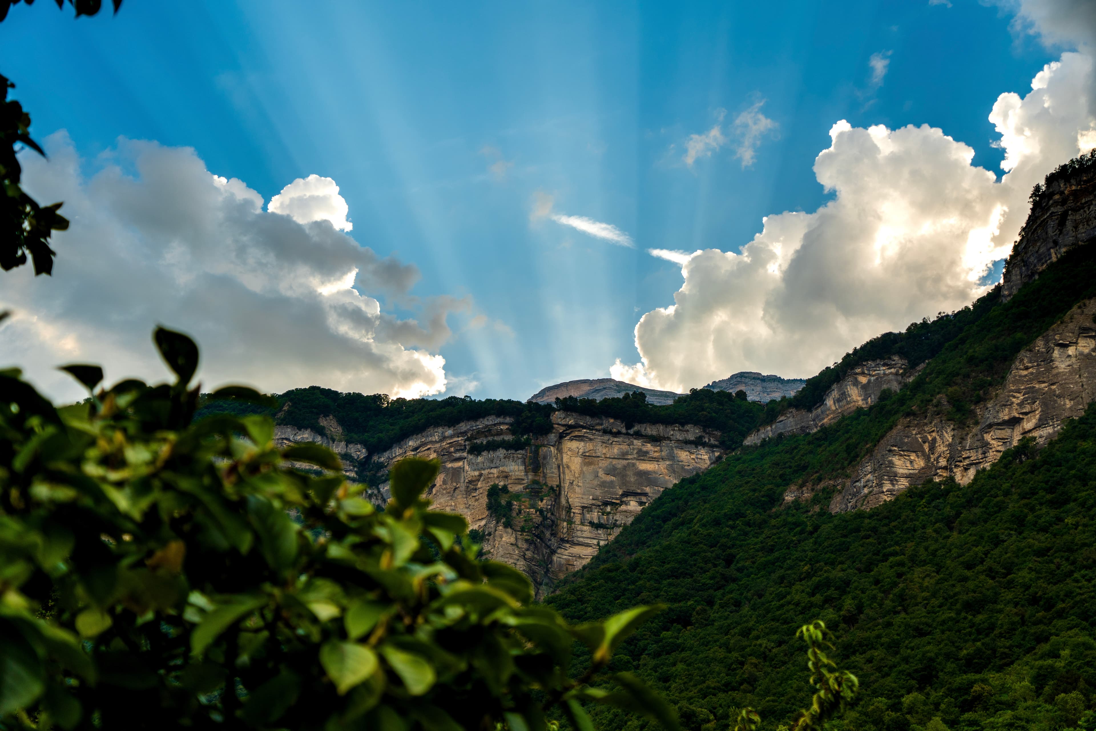 Paysages