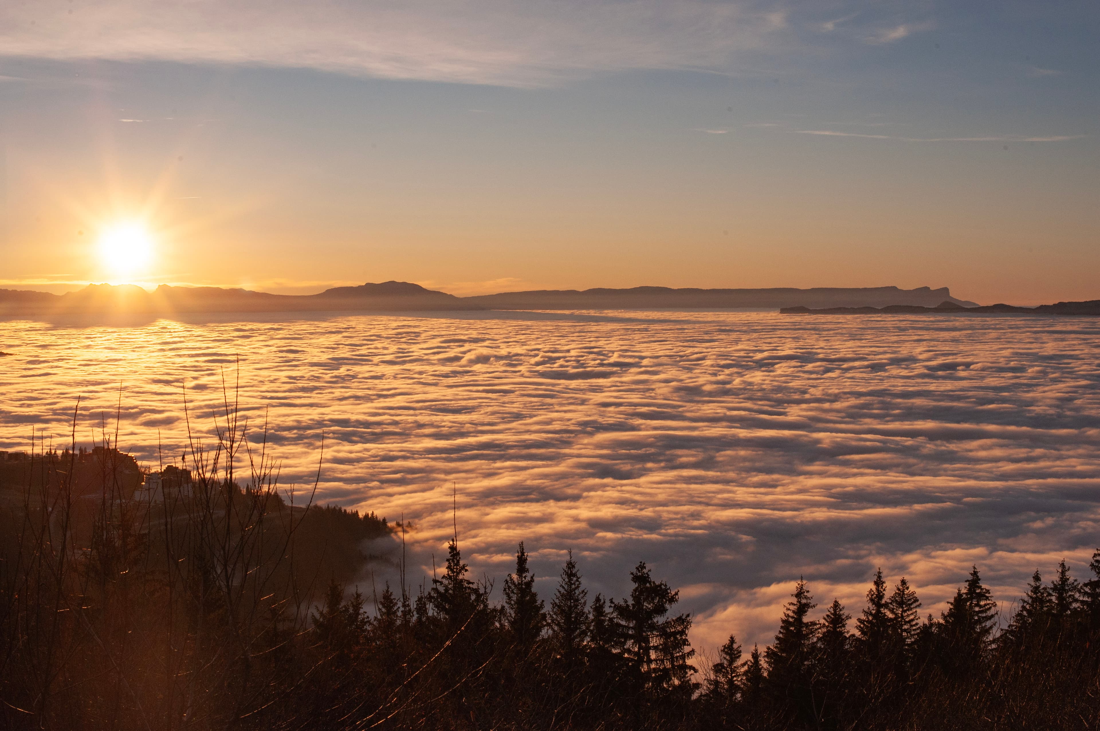 Paysages